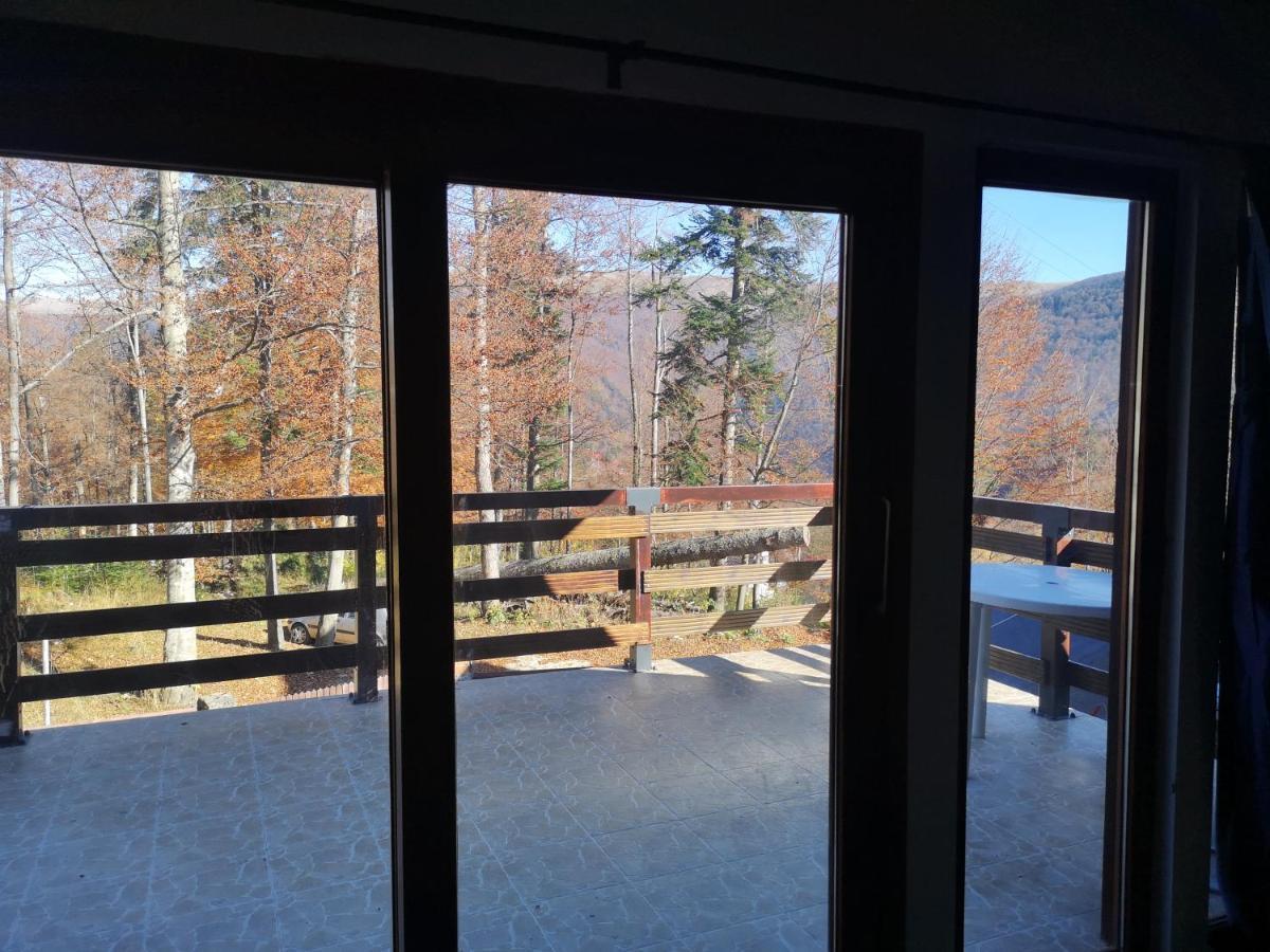 Vila Ines Sinaia Exterior photo