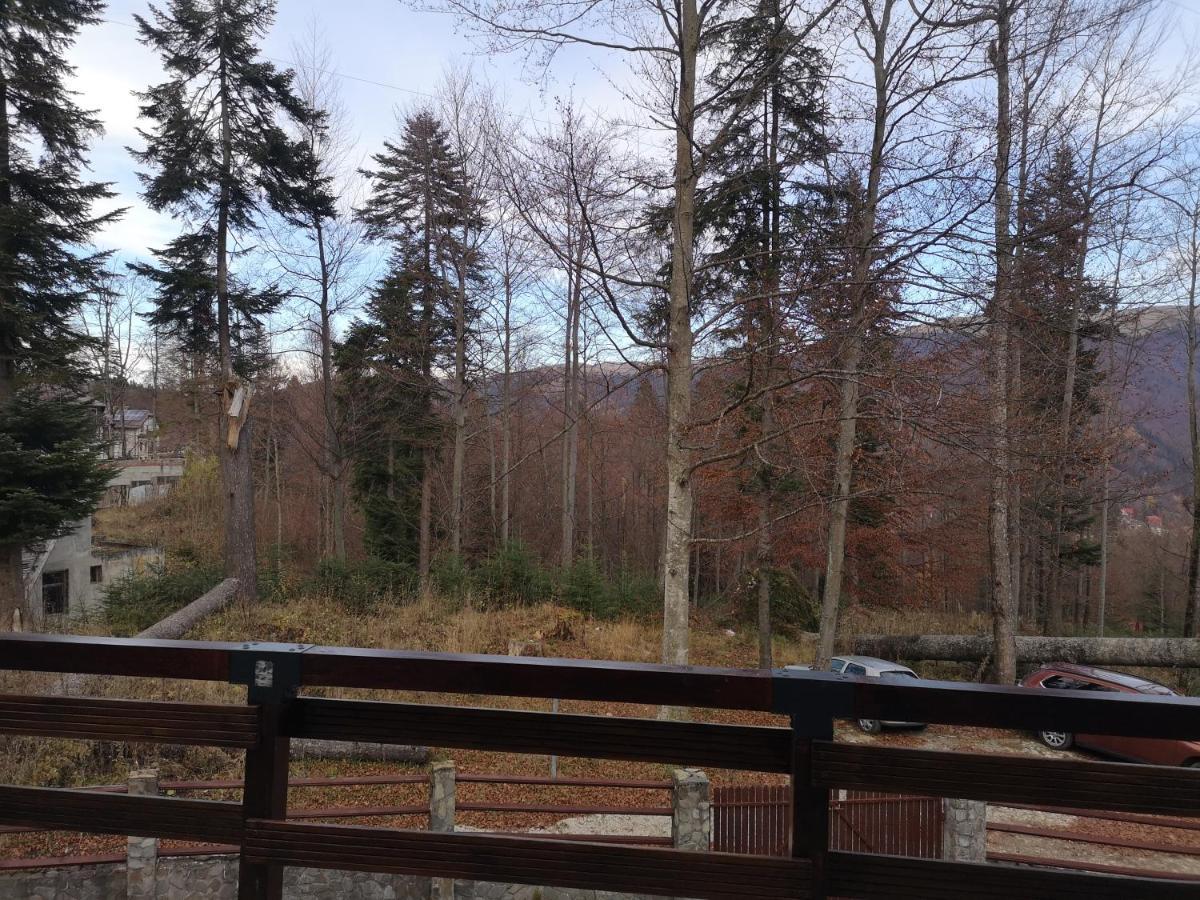 Vila Ines Sinaia Exterior photo