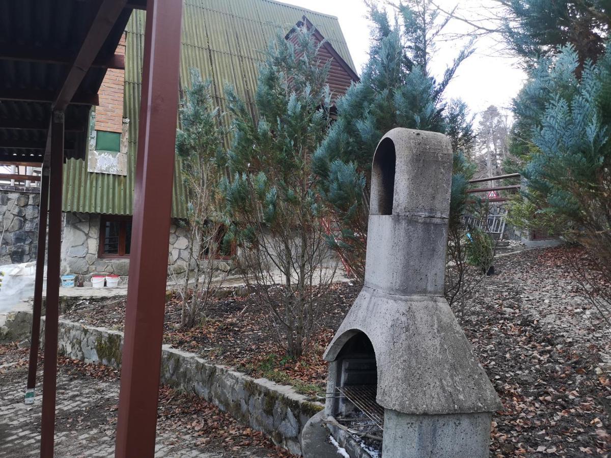Vila Ines Sinaia Exterior photo