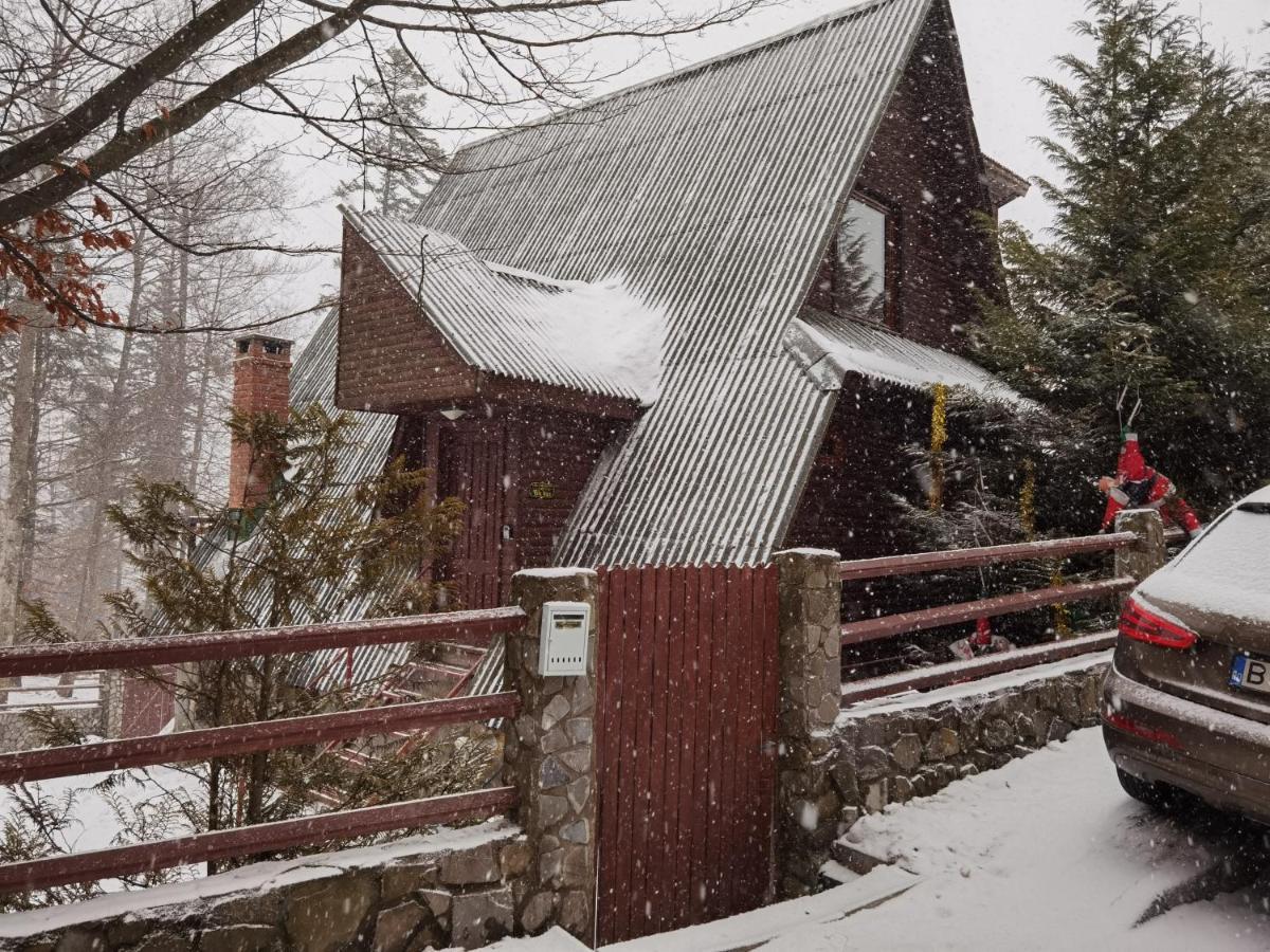 Vila Ines Sinaia Exterior photo