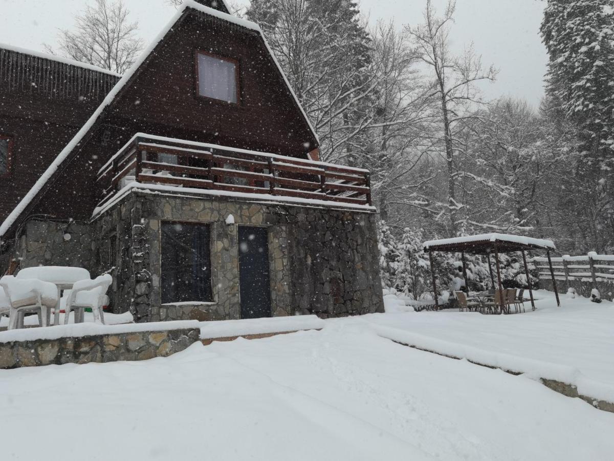 Vila Ines Sinaia Exterior photo
